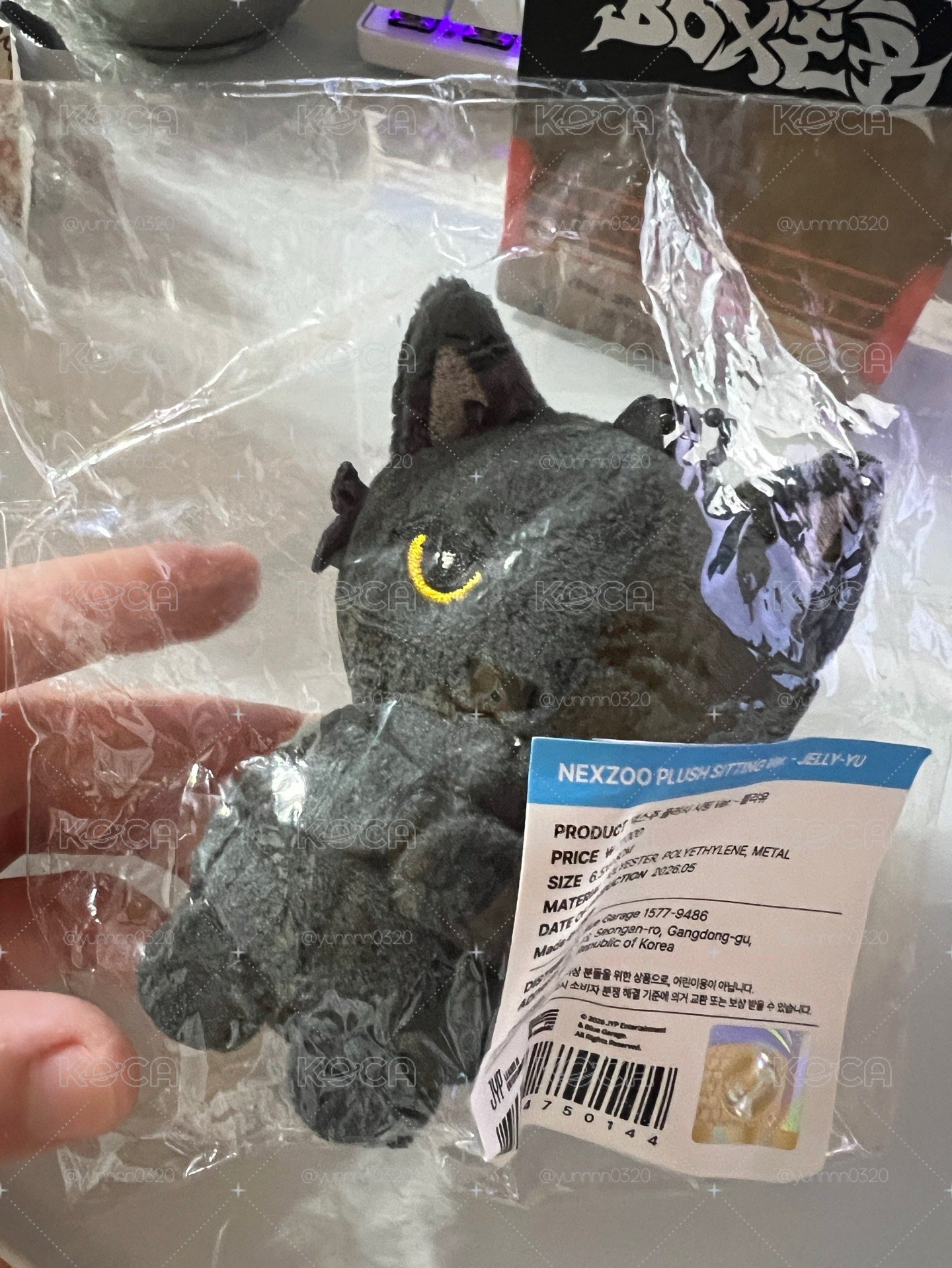 🐈‍⬛兩週年坐娃