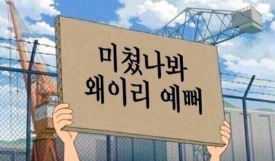 三隻貓咪