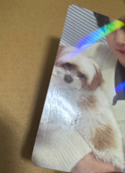 燦烈與札特小卡組