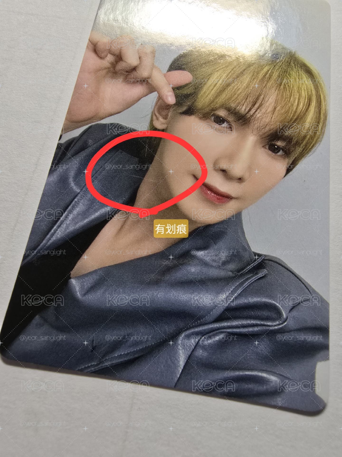 瑪爾濟斯小狗set