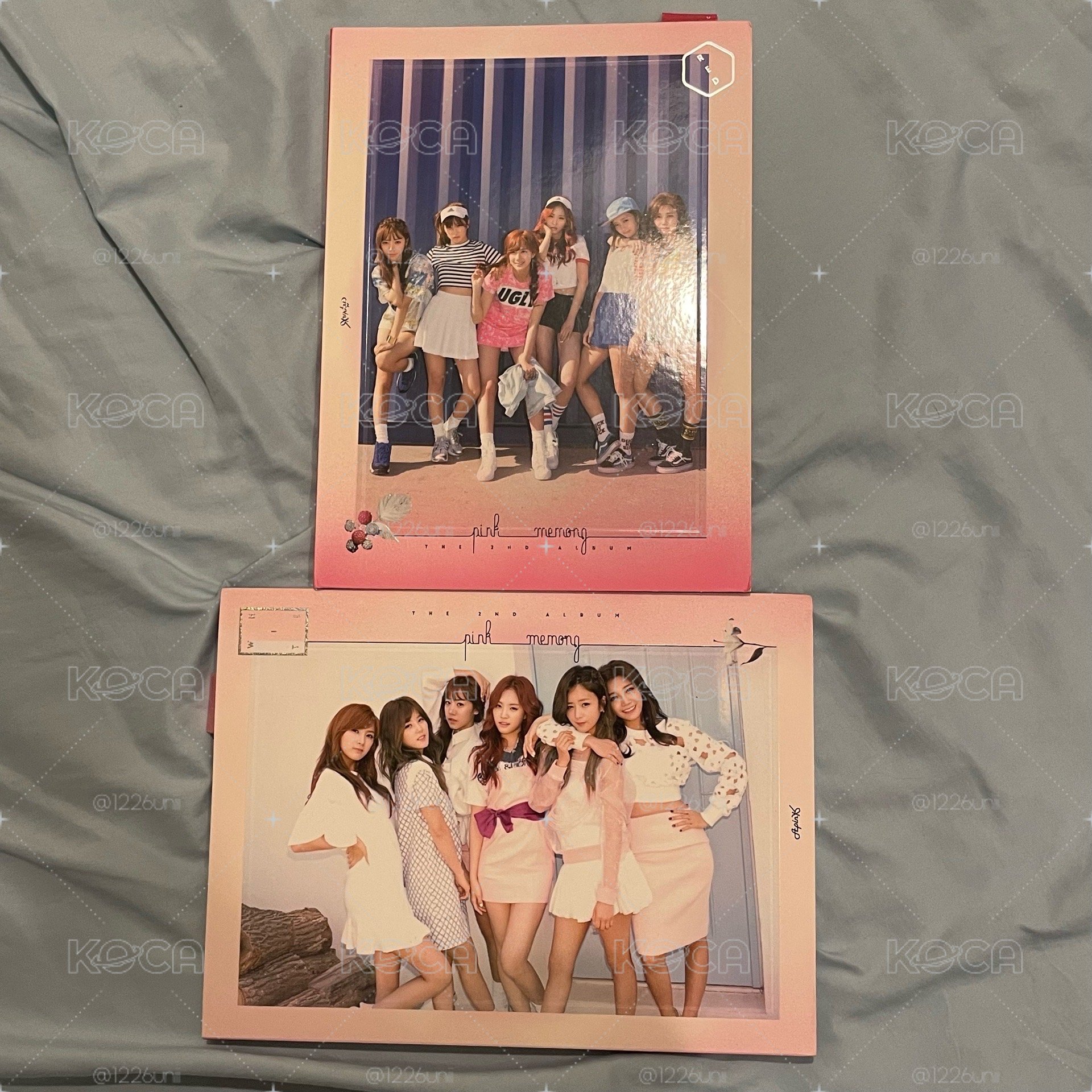 Apink Remember 空專