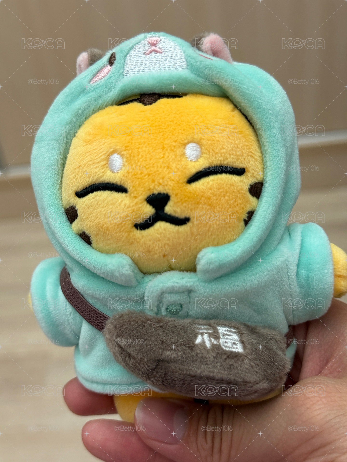 Hoshi娃