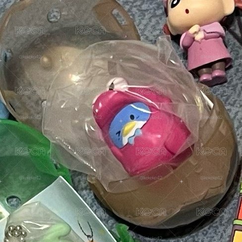 阿山山姆 全新 未拆 含殼