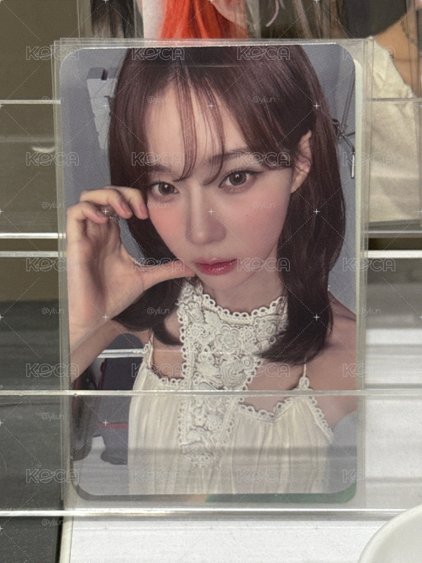 展會冬