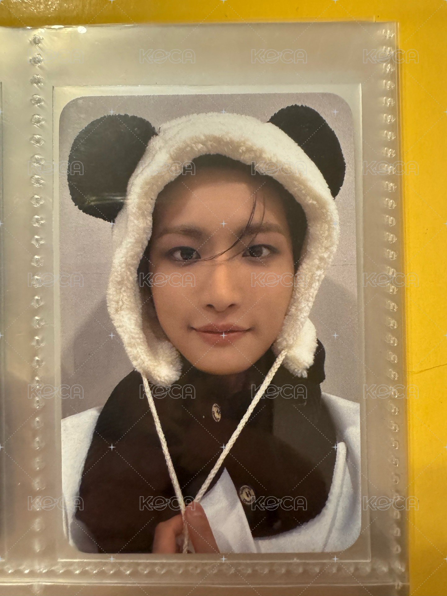 🐼⭐️