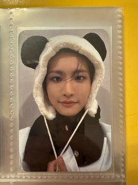 🐼⭐️