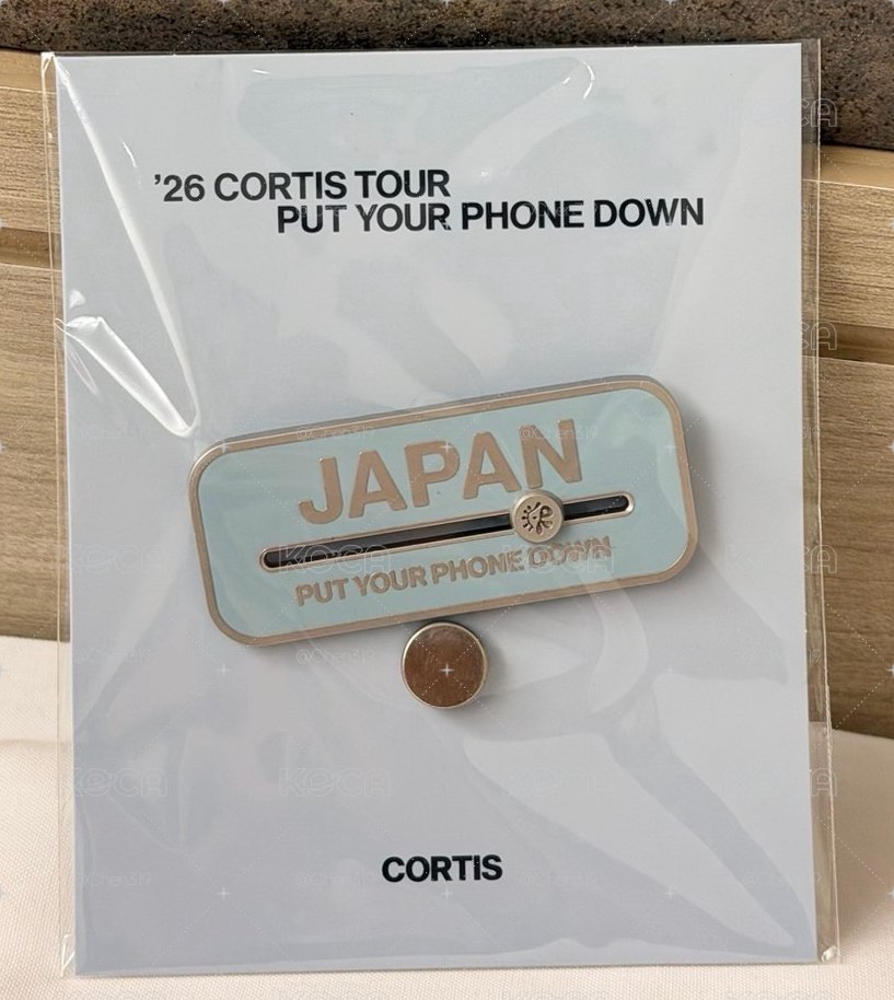 日巡徽章