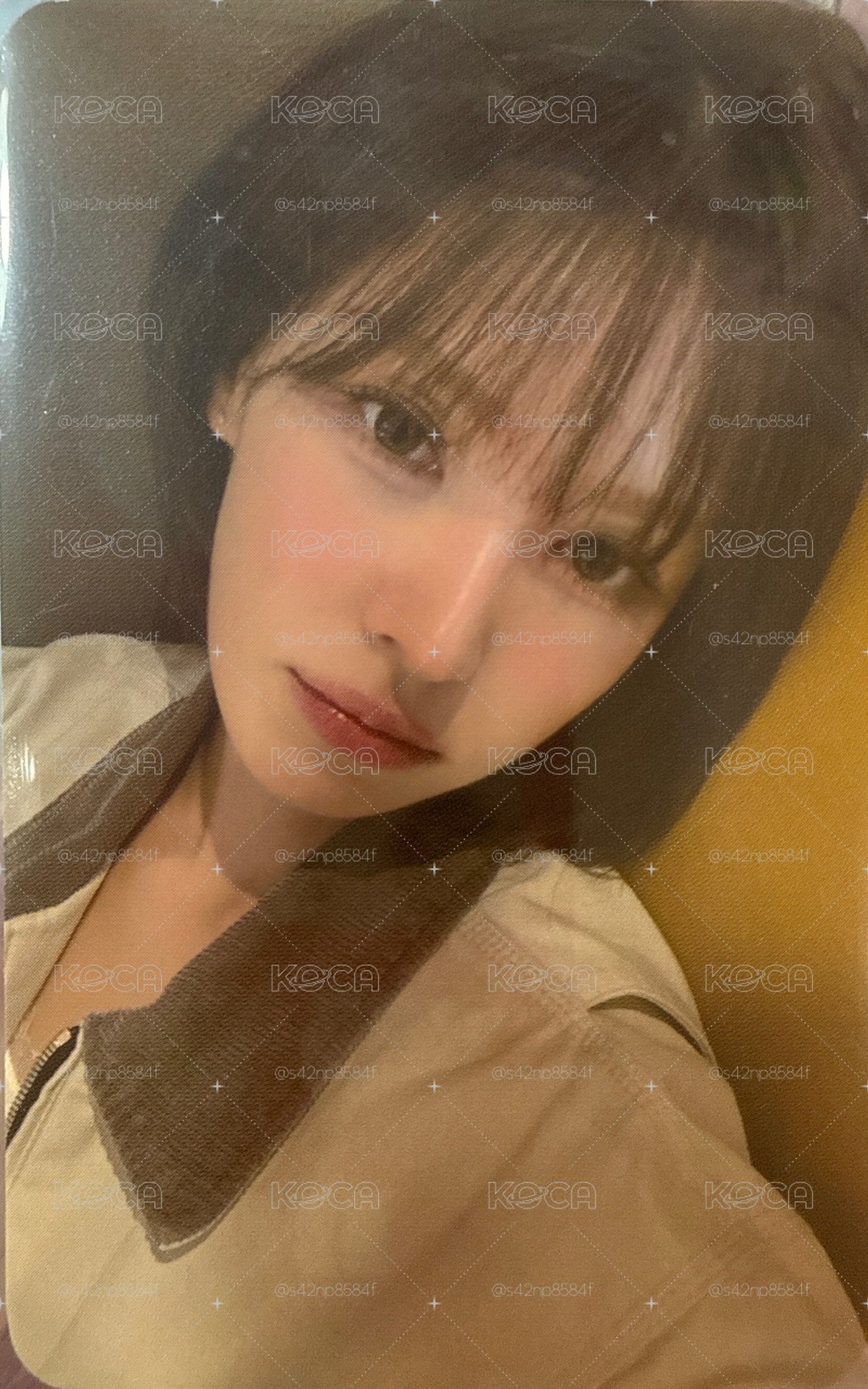 WENDY櫻花季入場卡