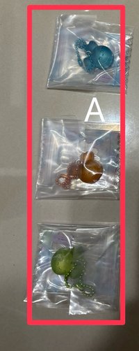 賊賊+志效+定延