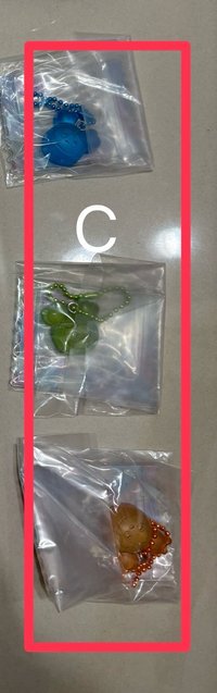 子瑜+志效+定延