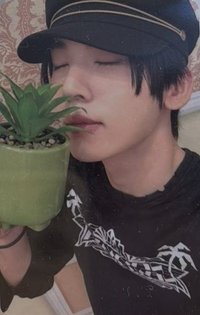 N:DVERSE GARDENING 周邊卡 