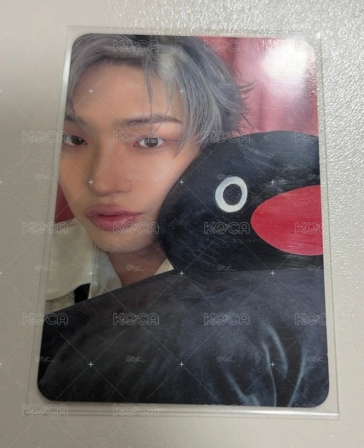 琦🐧