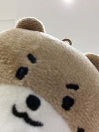 蜜汁烤雞堡