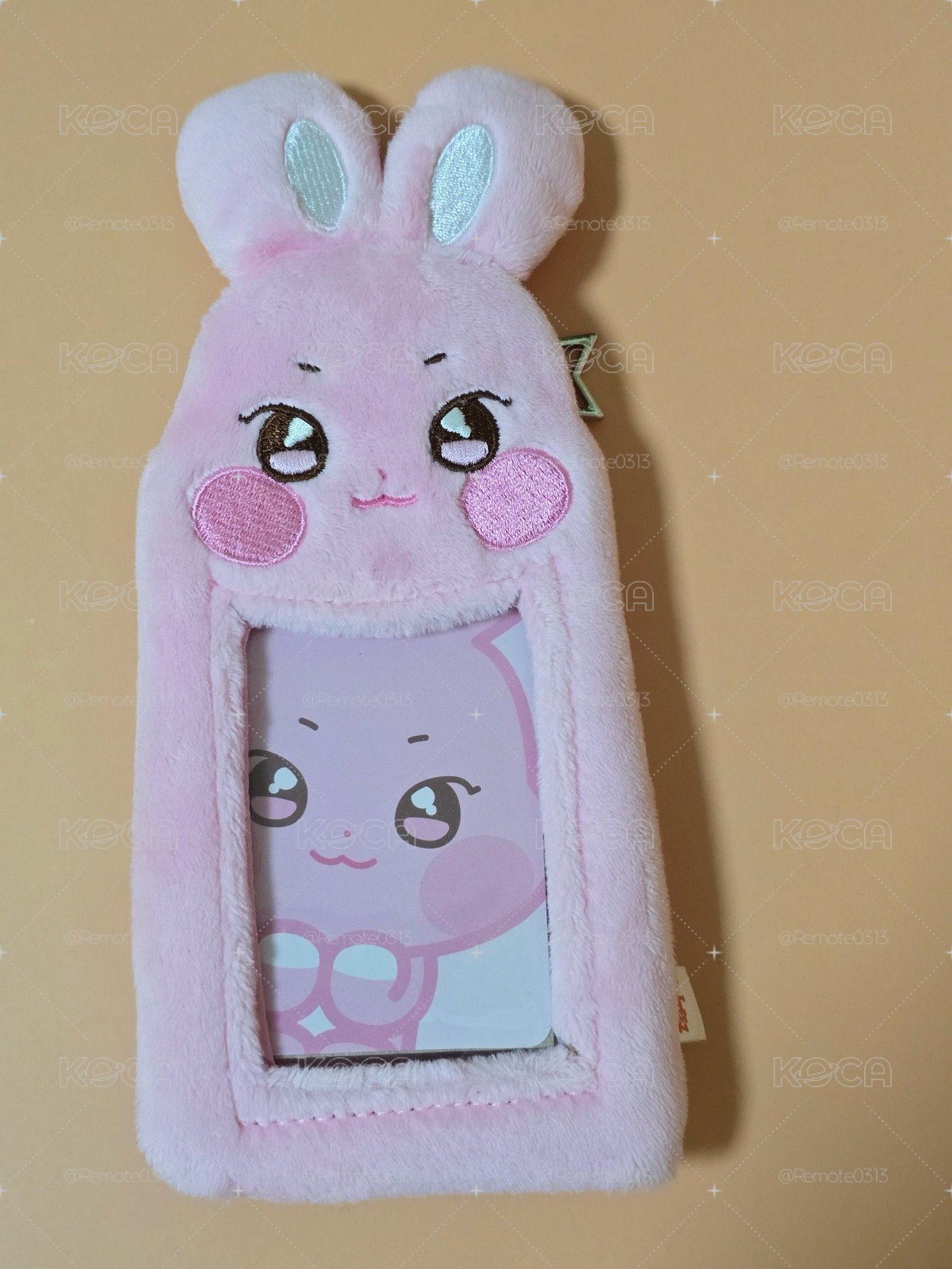ANITEEZ IN ICE CITY 卡套 (組) PLUSH PHOTOCARD HOLDER KEYRING