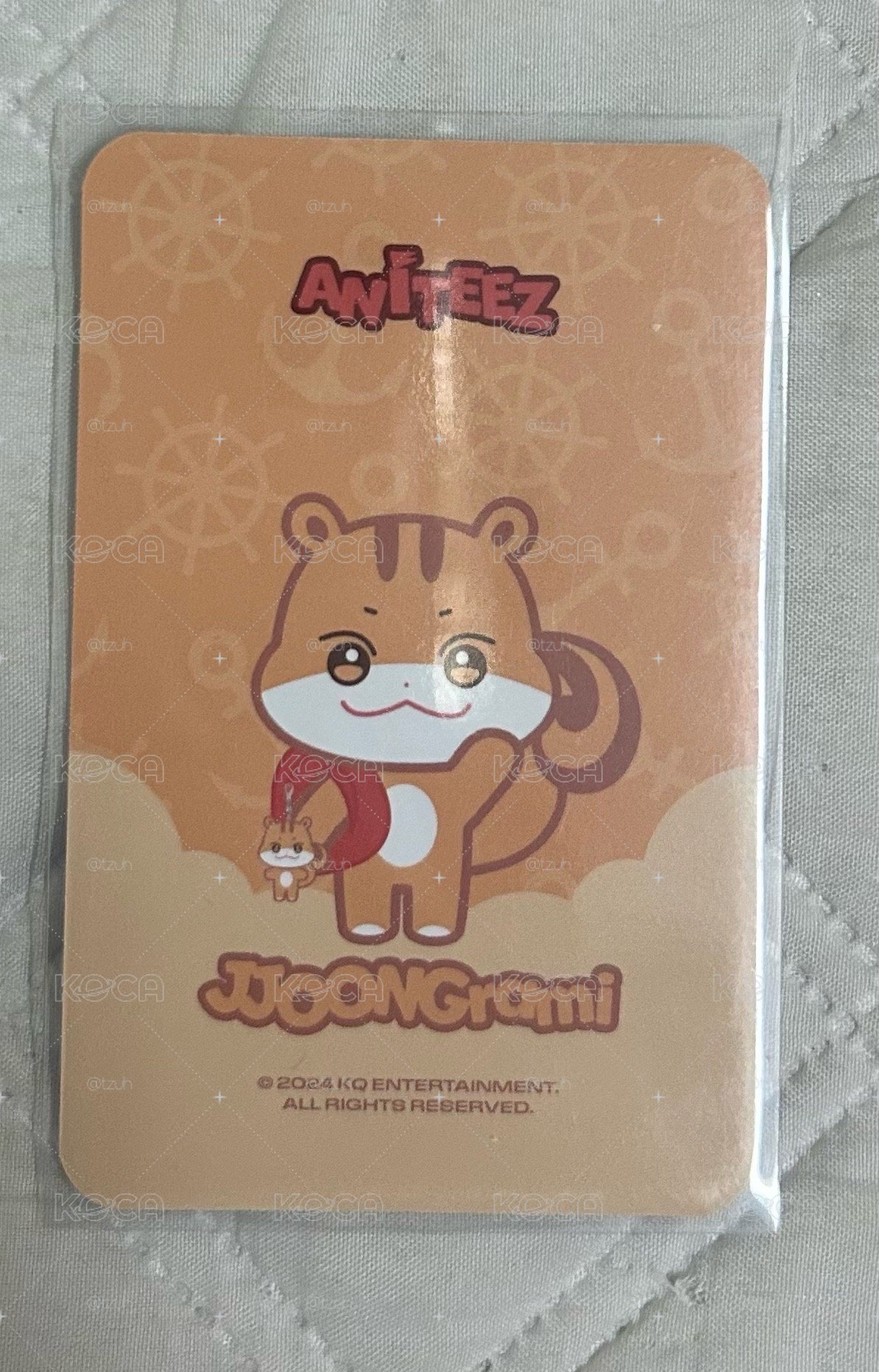 金弘中 ANITEEZ IN ILLUSION 周邊卡 PLUSH KEYRING 
