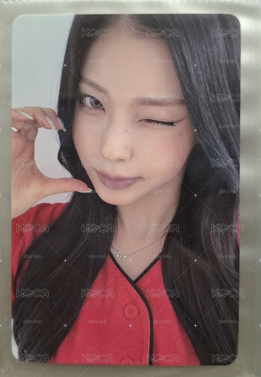 圭 味全龍開球卡