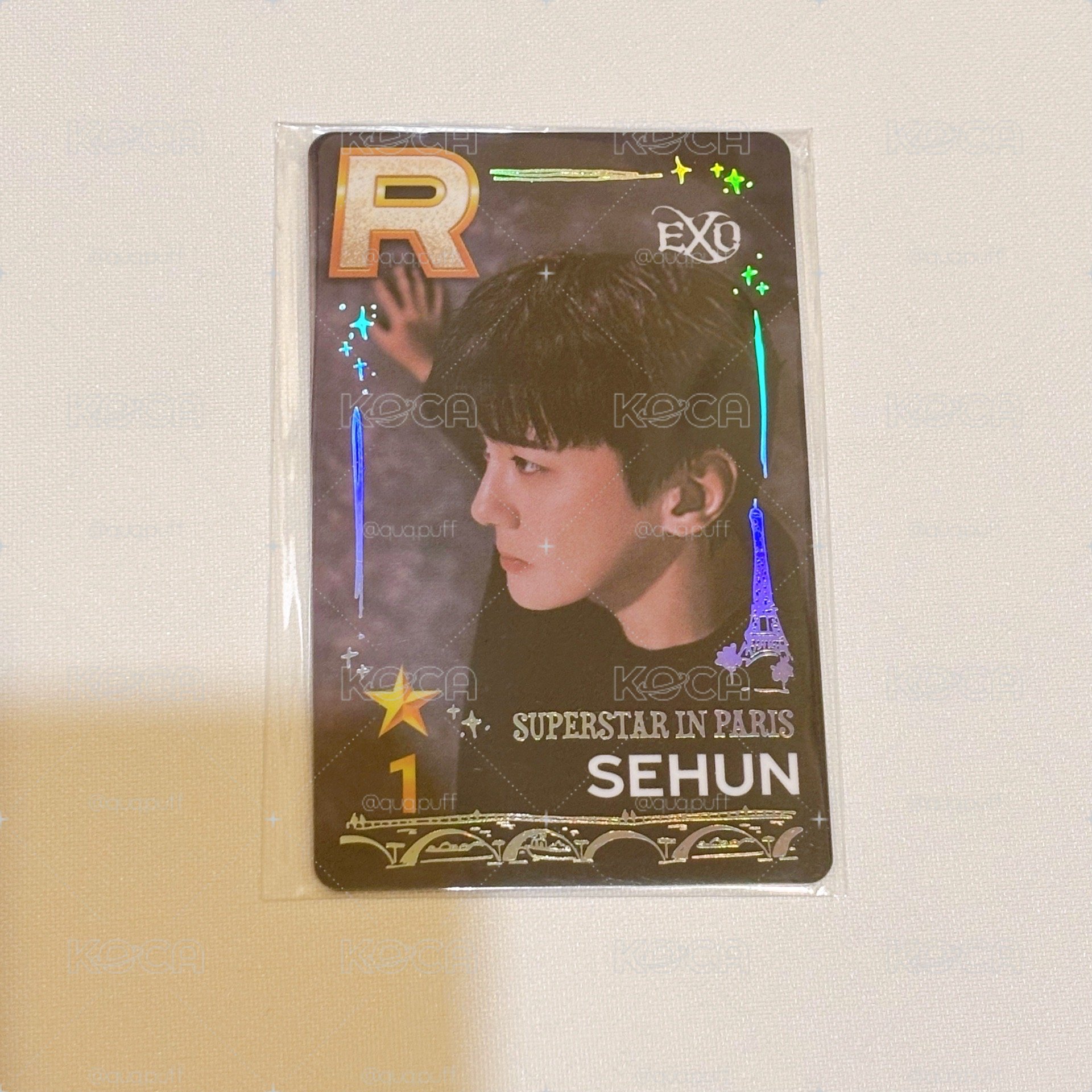 EXO 巴黎遊戲卡 （燦烈、世勳）