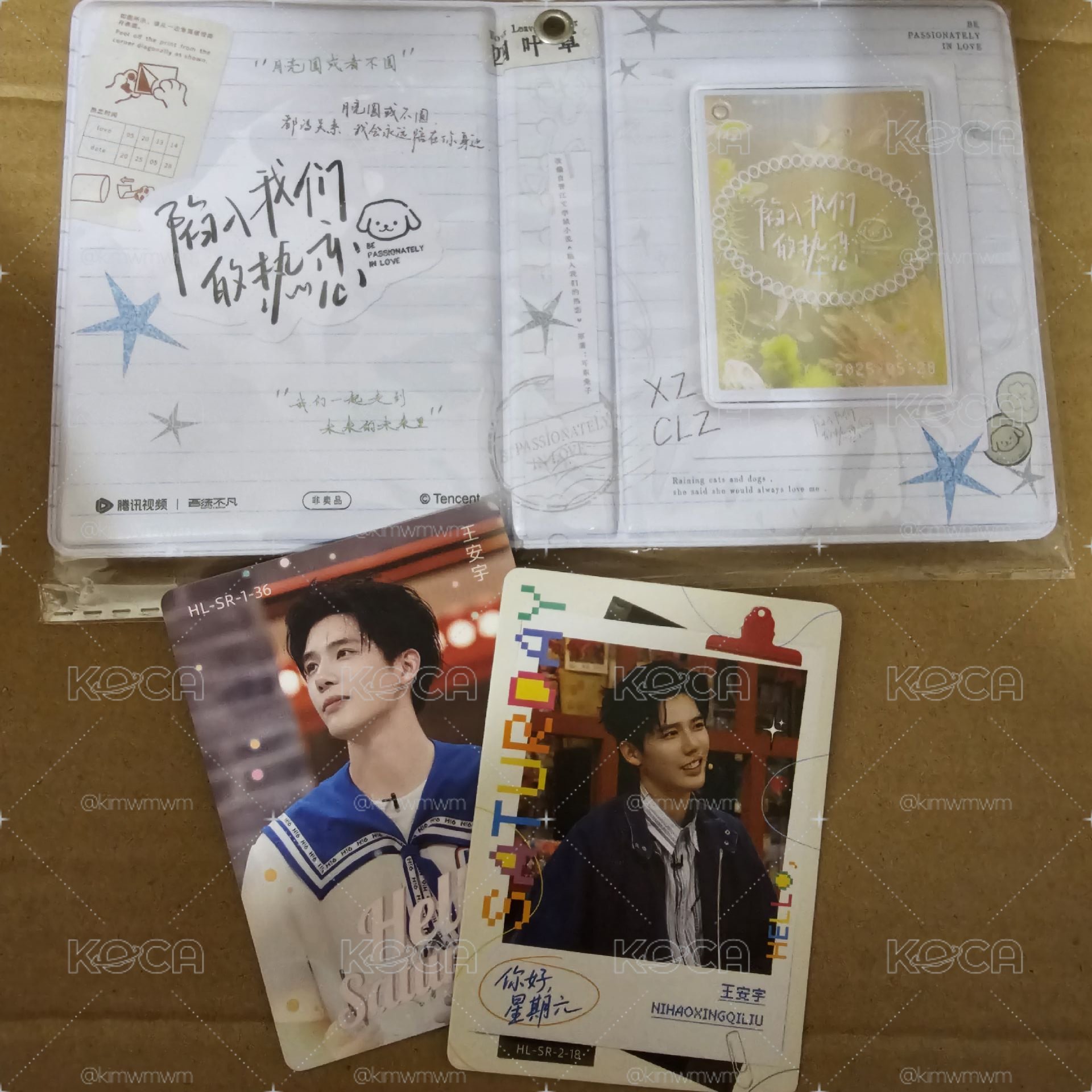 王安宇 陷入我們的熱戀 一宮格 卡冊