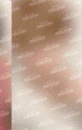 VR禮盒 wvs 特典卡 
