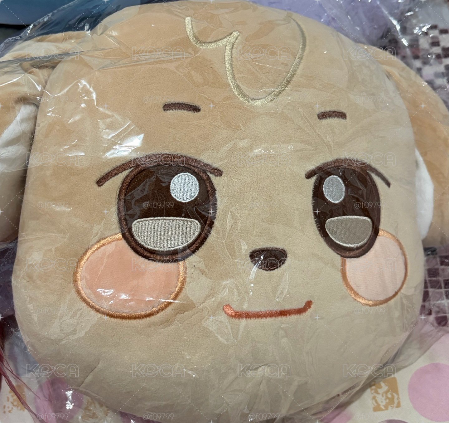 原皮潤抱枕