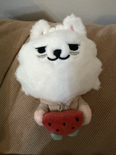 西瓜勇猛 綁出