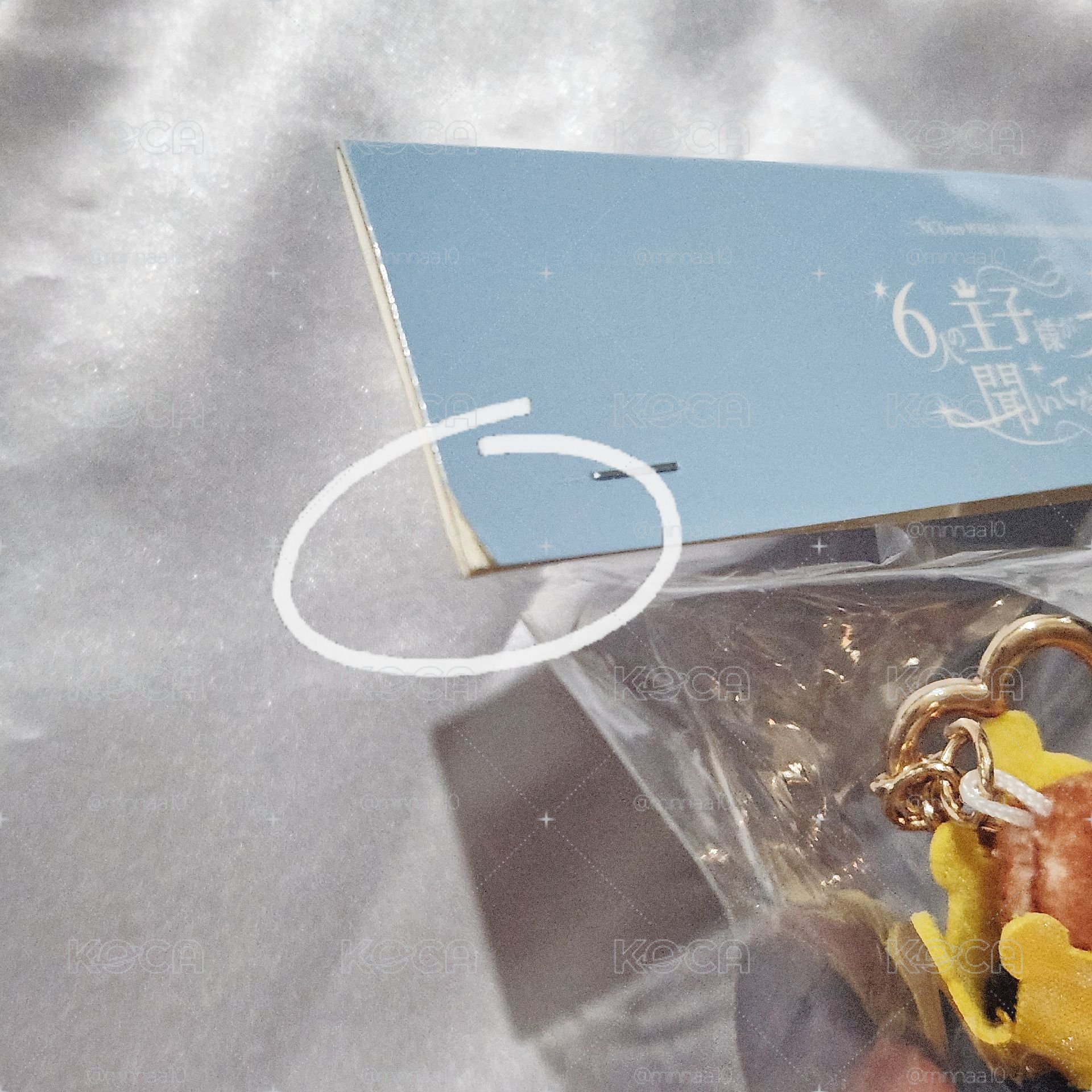 WISH RIKU 日本FM娃娃