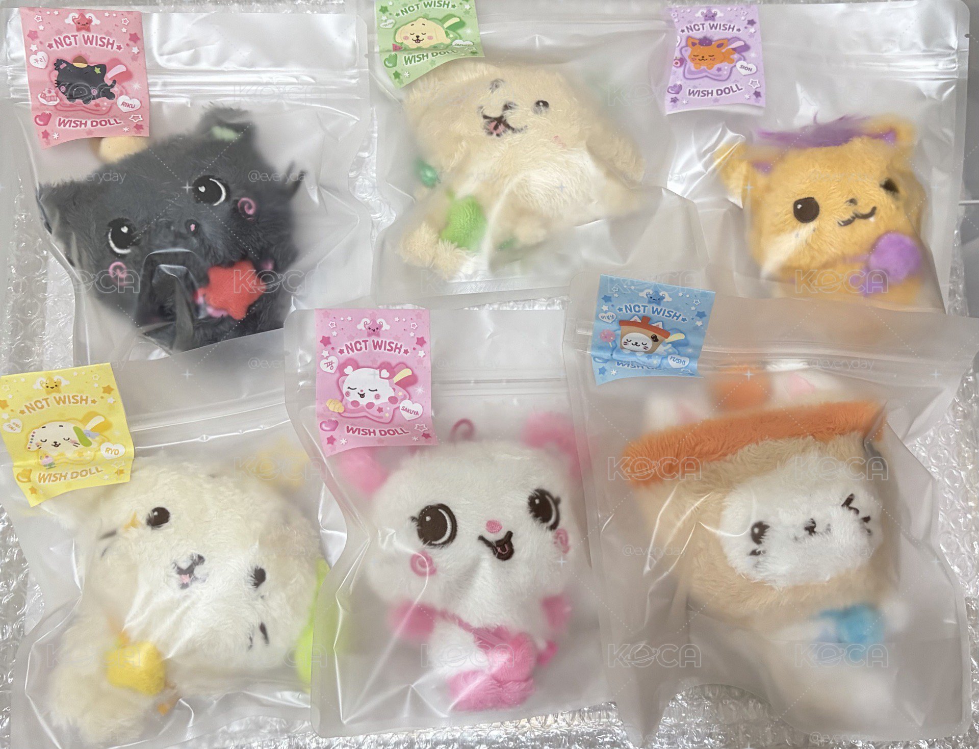 全新現貨 二販NCT WISH原皮