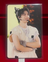 動物塑