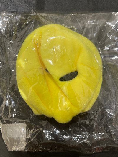 lemonade中國快閃-在台現貨