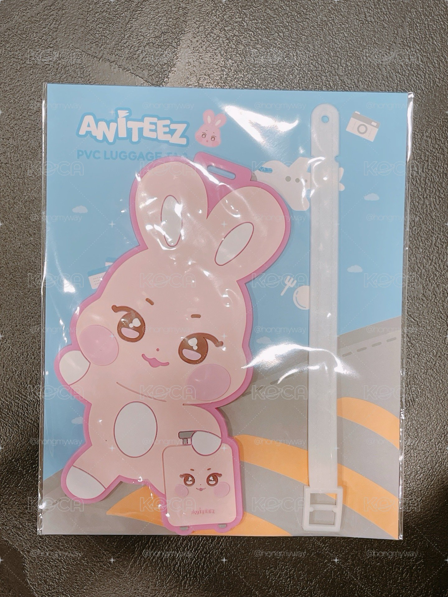 ANITEEZ 咚星 行李吊牌