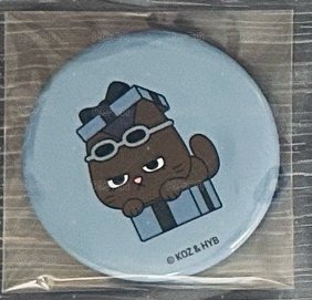 TATPUNG禮物盒徽章