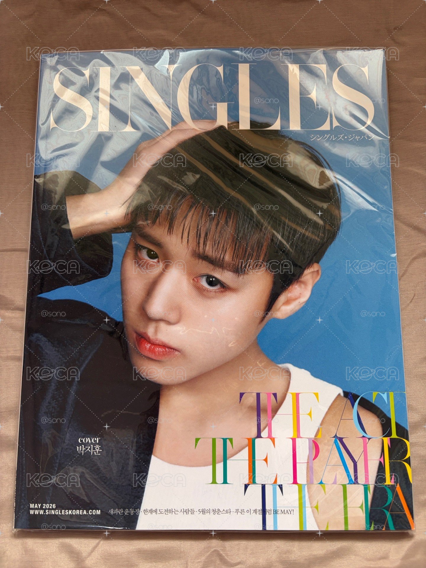 Singles JAPAN VOL.17（雜誌一本）