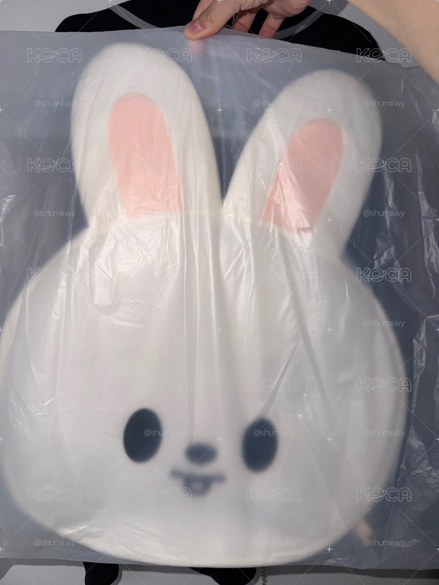 旻豆豆眼扇套 再販購入