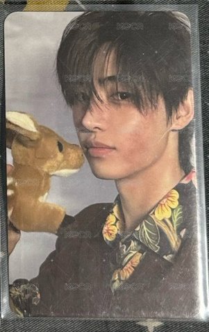 迷六小鹿