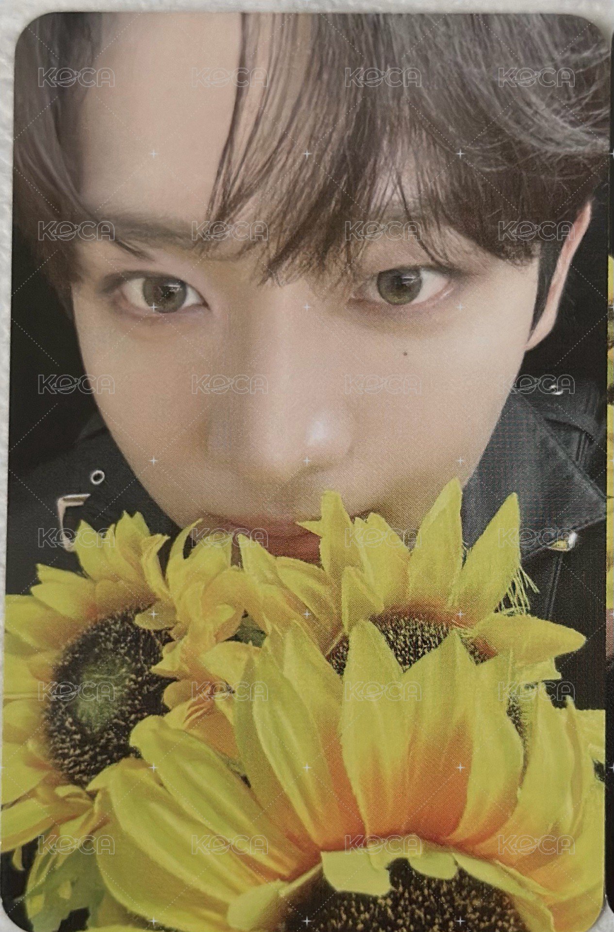 向日葵🌻彥