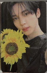 向日葵🌻辰