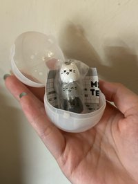 俊