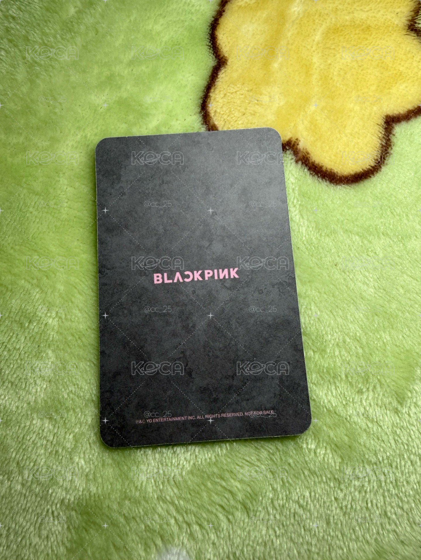 rose KTL專卡