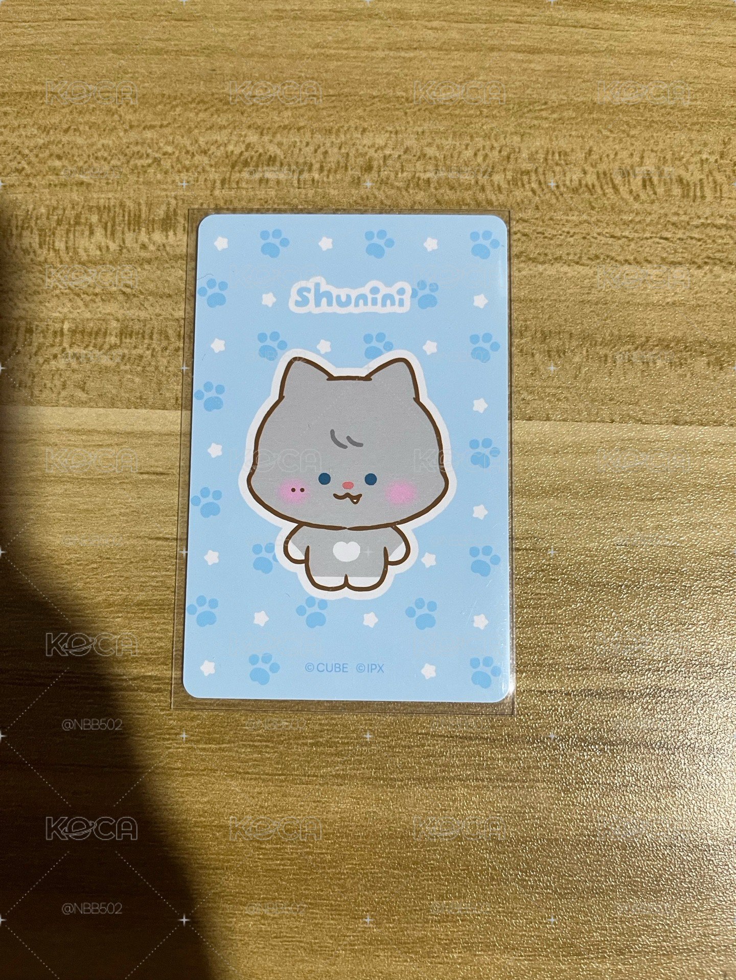 🏆 I-dle ninini 隨機卡 舒華