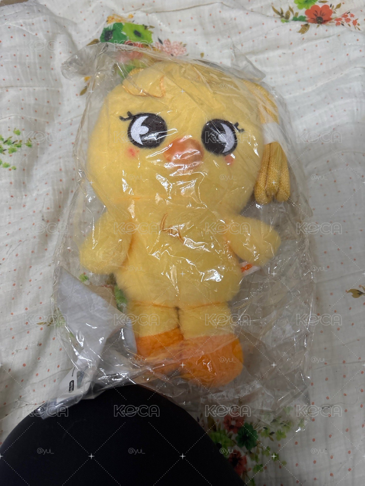 小雞不含卡