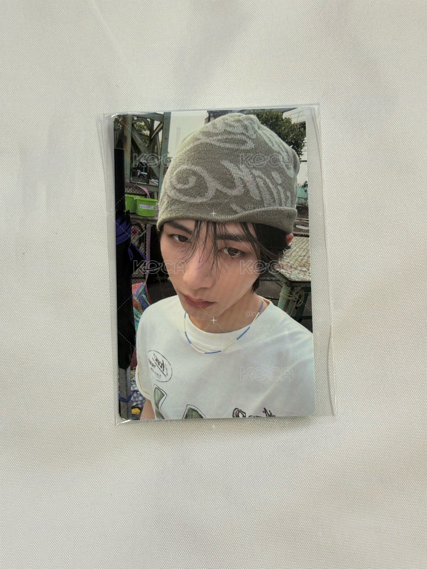 wvs