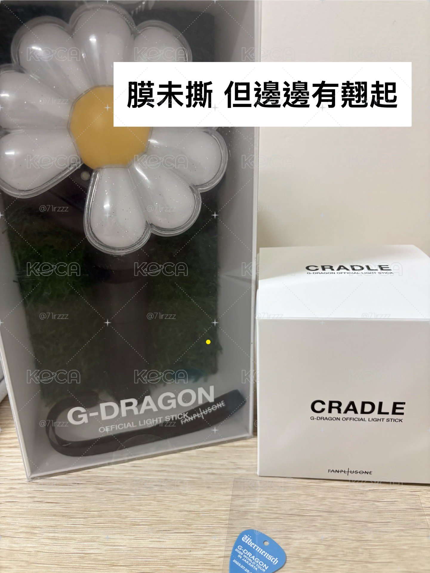 二手手燈+盆栽+pick