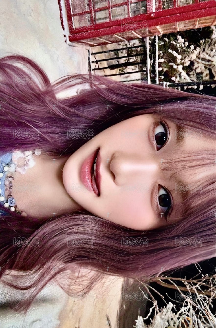 李瑞雪景專卡！