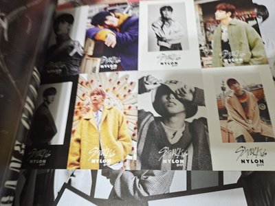 skz 絕版 日本 nylon 雜誌 含小卡 含綁物