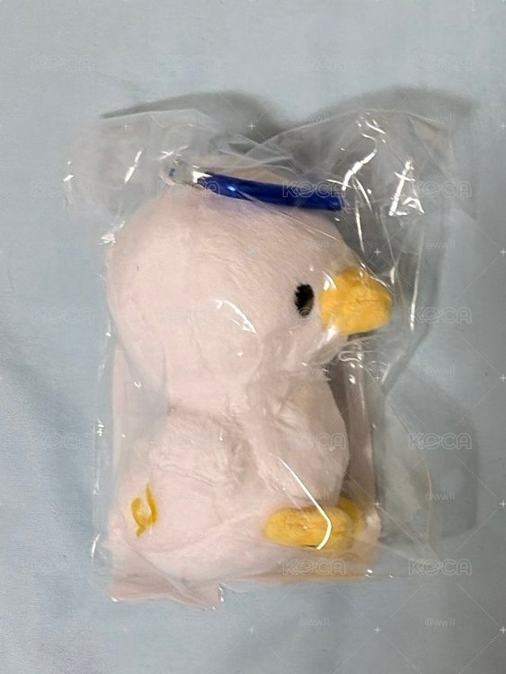 （全新未拆）日巡特鴨