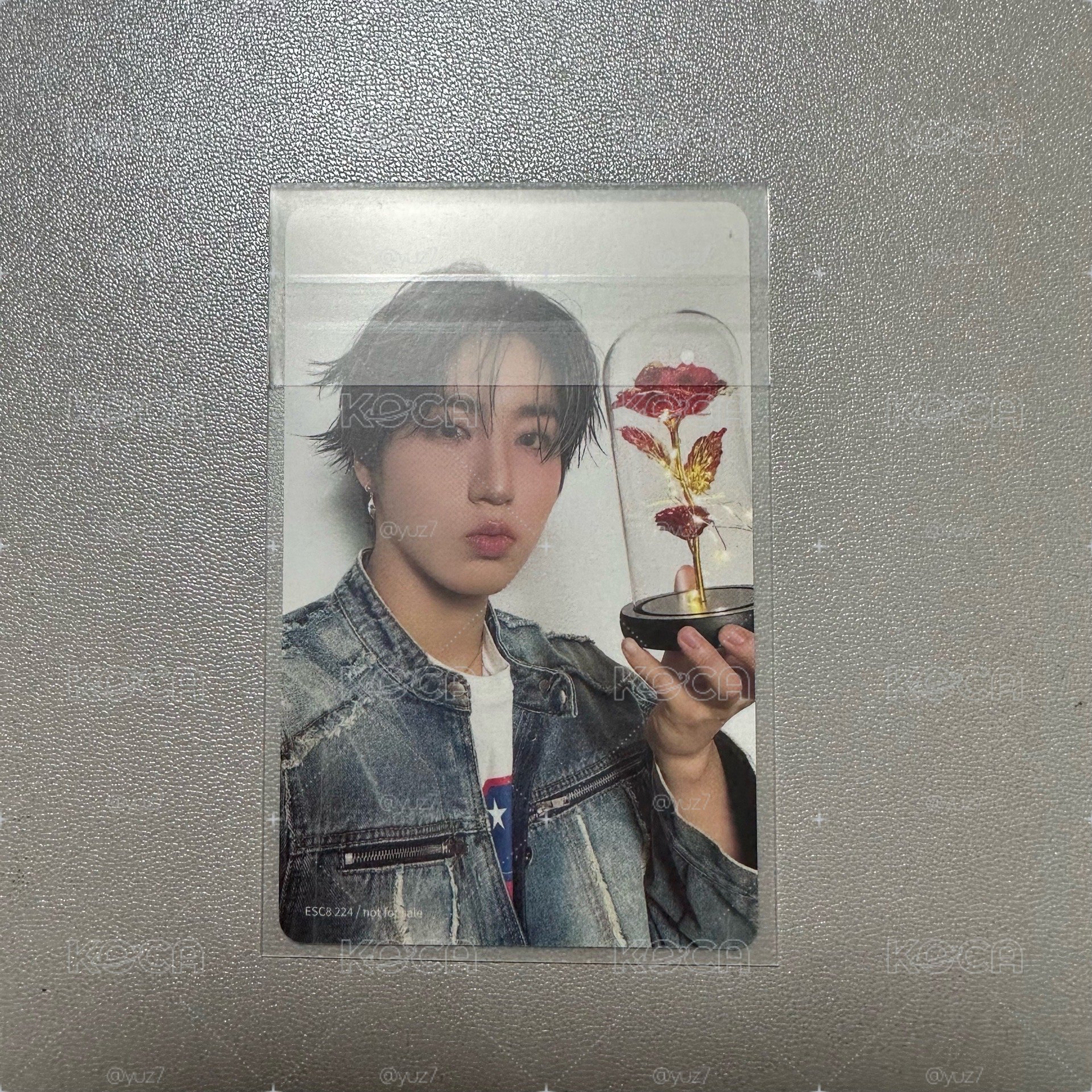 Hollow 城雙面專輯卡 