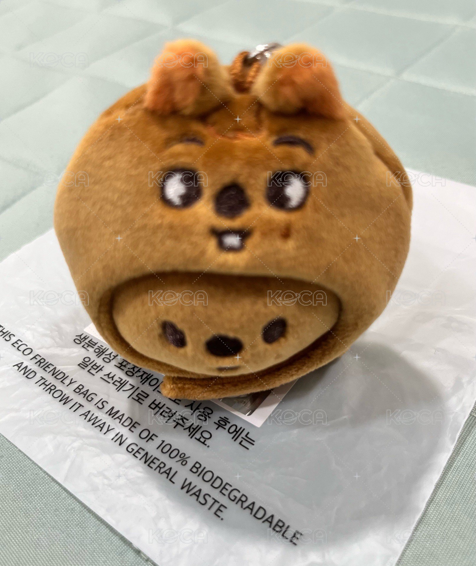趴娃
