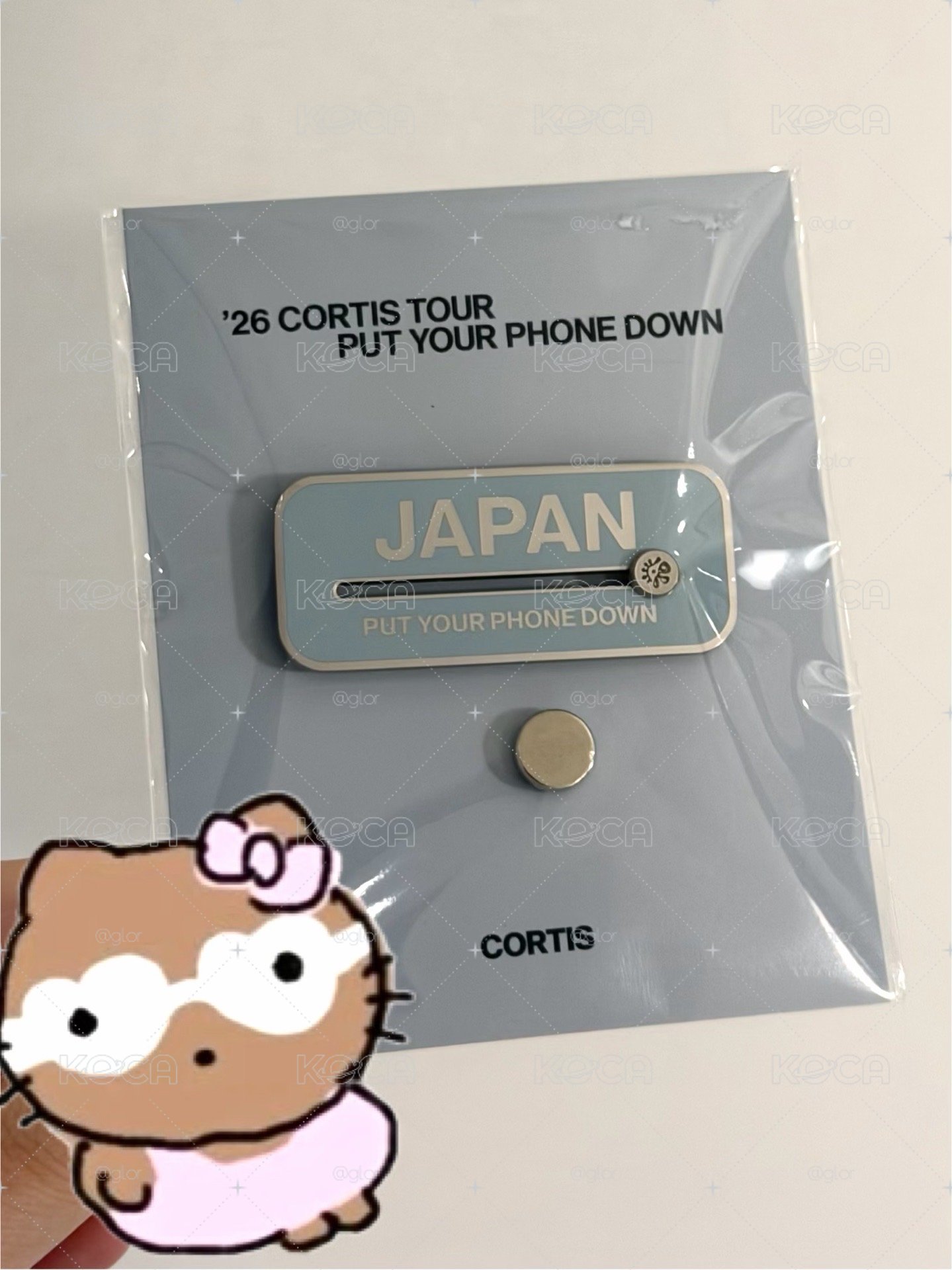 日巡徽章