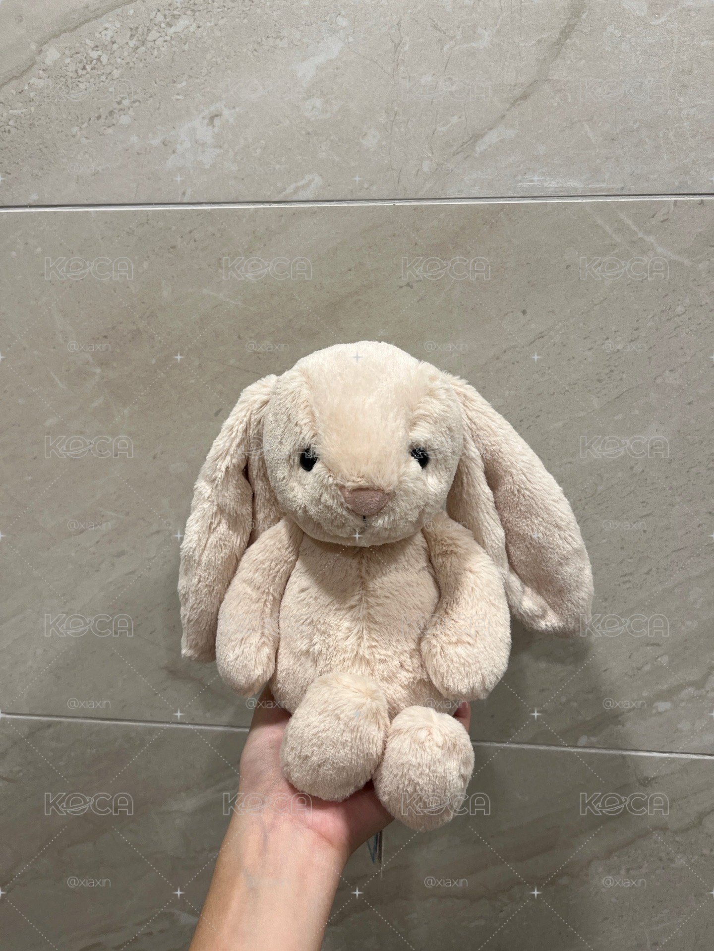 🤍現貨2 害羞邦尼兔幼兔