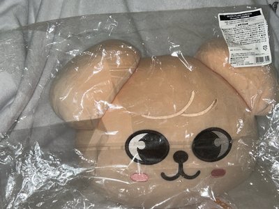 帕皮大臉抱枕